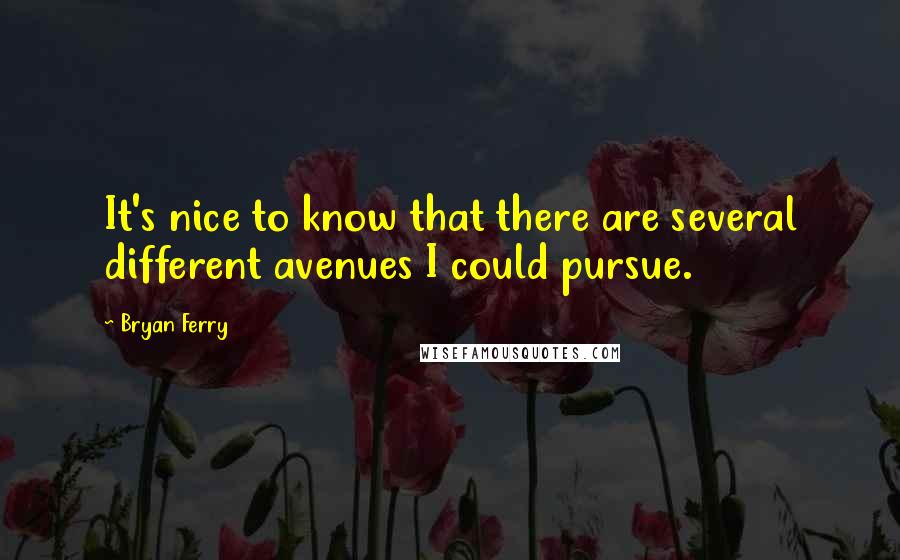 Bryan Ferry Quotes: It's nice to know that there are several different avenues I could pursue.