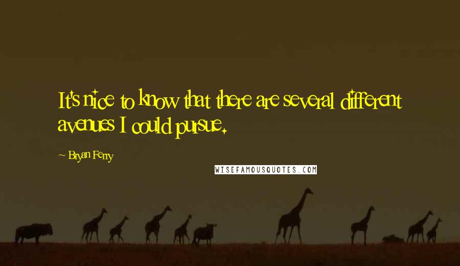 Bryan Ferry Quotes: It's nice to know that there are several different avenues I could pursue.