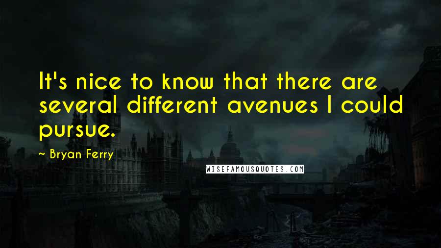 Bryan Ferry Quotes: It's nice to know that there are several different avenues I could pursue.