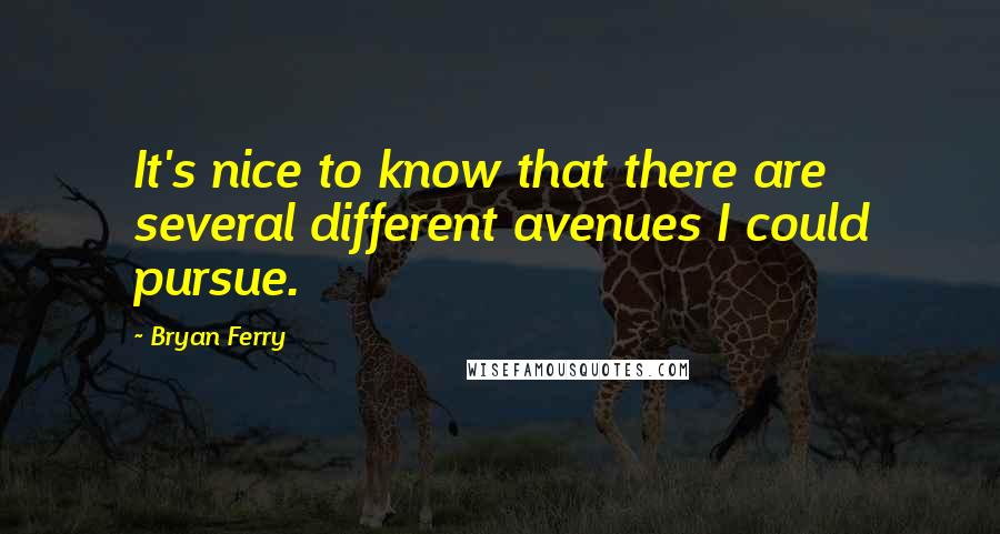 Bryan Ferry Quotes: It's nice to know that there are several different avenues I could pursue.