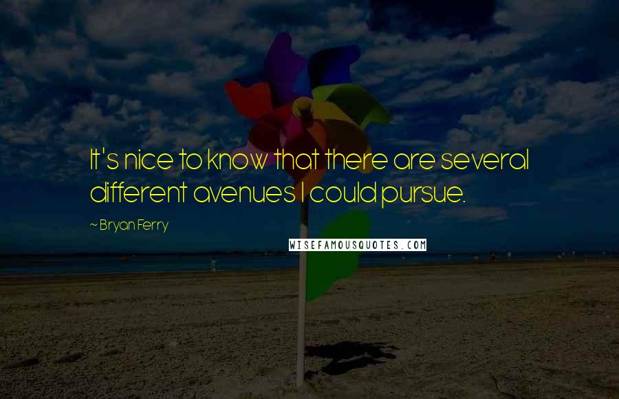 Bryan Ferry Quotes: It's nice to know that there are several different avenues I could pursue.