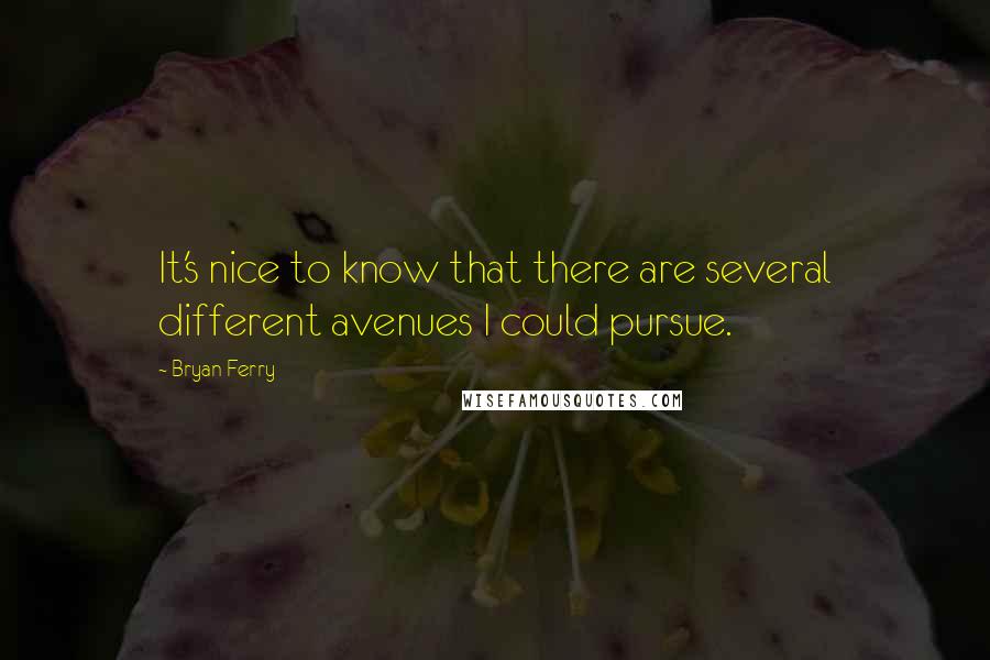 Bryan Ferry Quotes: It's nice to know that there are several different avenues I could pursue.