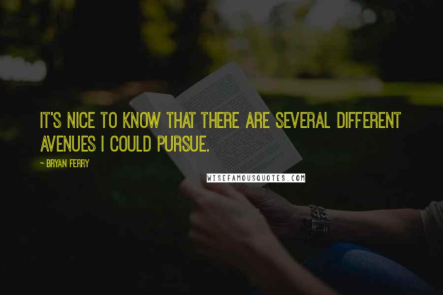 Bryan Ferry Quotes: It's nice to know that there are several different avenues I could pursue.