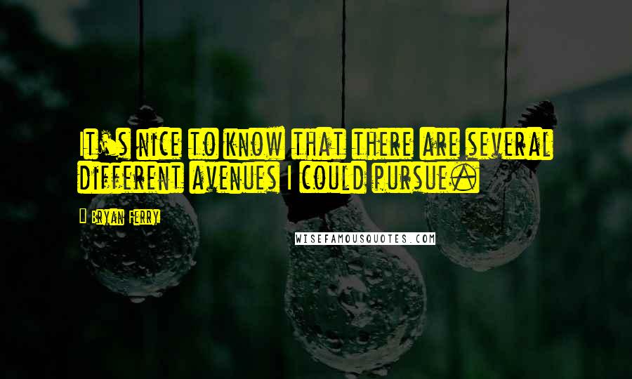 Bryan Ferry Quotes: It's nice to know that there are several different avenues I could pursue.