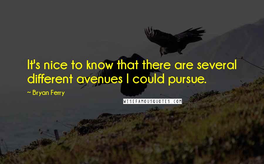 Bryan Ferry Quotes: It's nice to know that there are several different avenues I could pursue.