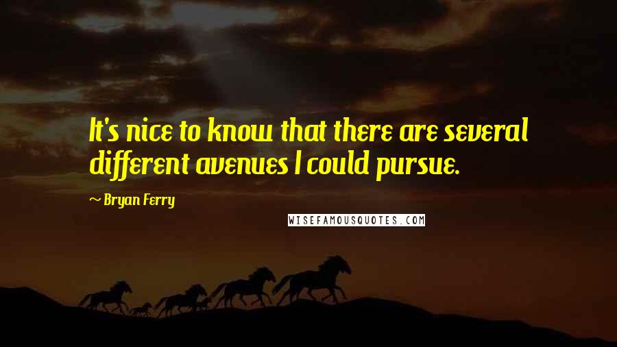 Bryan Ferry Quotes: It's nice to know that there are several different avenues I could pursue.