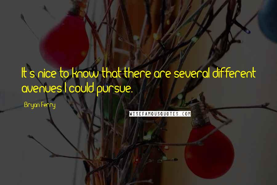 Bryan Ferry Quotes: It's nice to know that there are several different avenues I could pursue.