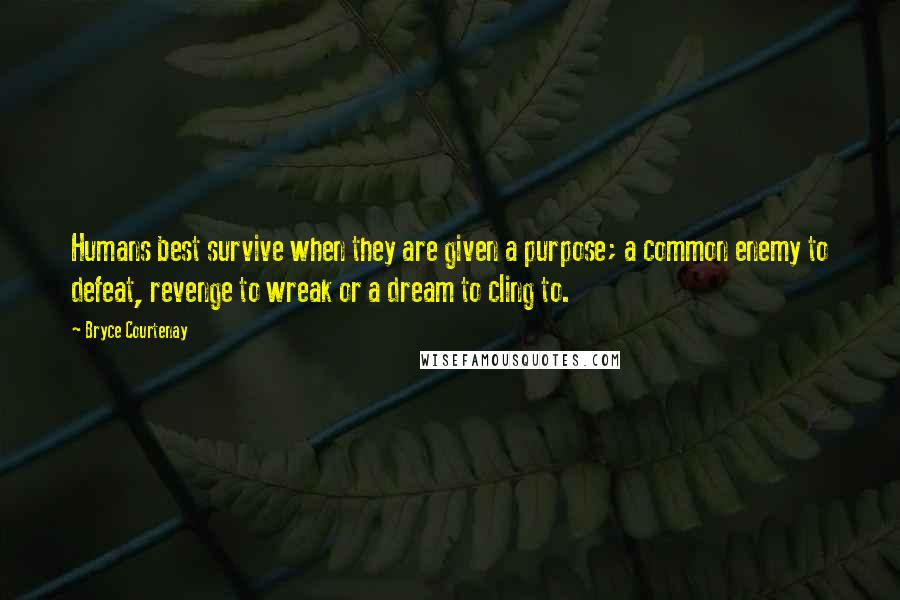 Bryce Courtenay Quotes: Humans best survive when they are given a purpose; a common enemy to defeat, revenge to wreak or a dream to cling to.