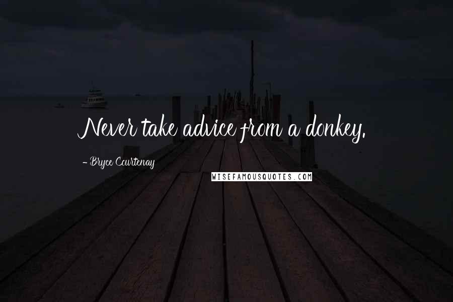 Bryce Courtenay Quotes: Never take advice from a donkey.