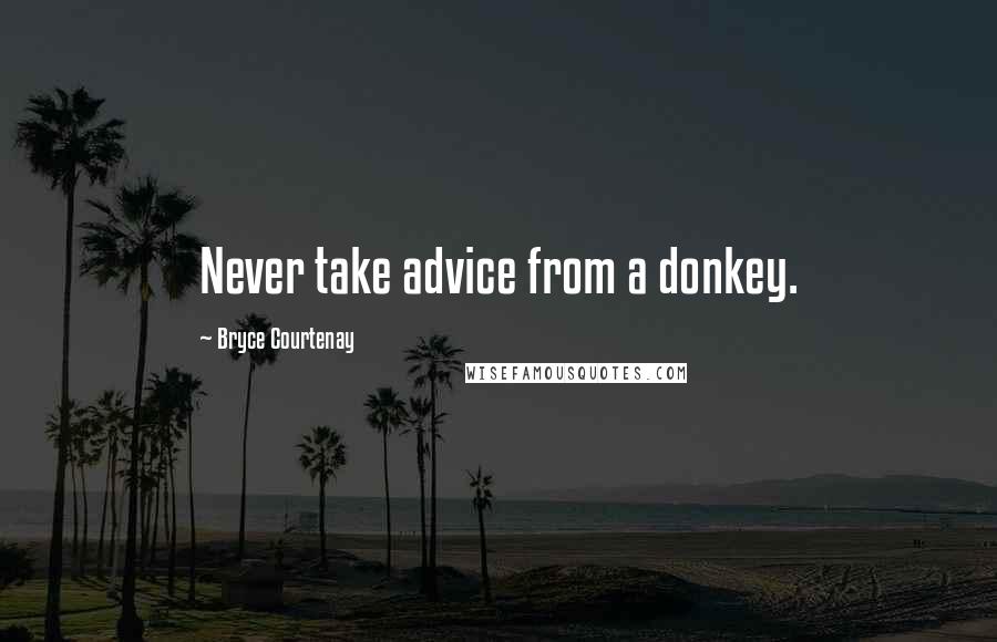 Bryce Courtenay Quotes: Never take advice from a donkey.