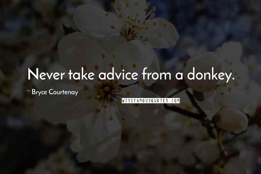 Bryce Courtenay Quotes: Never take advice from a donkey.