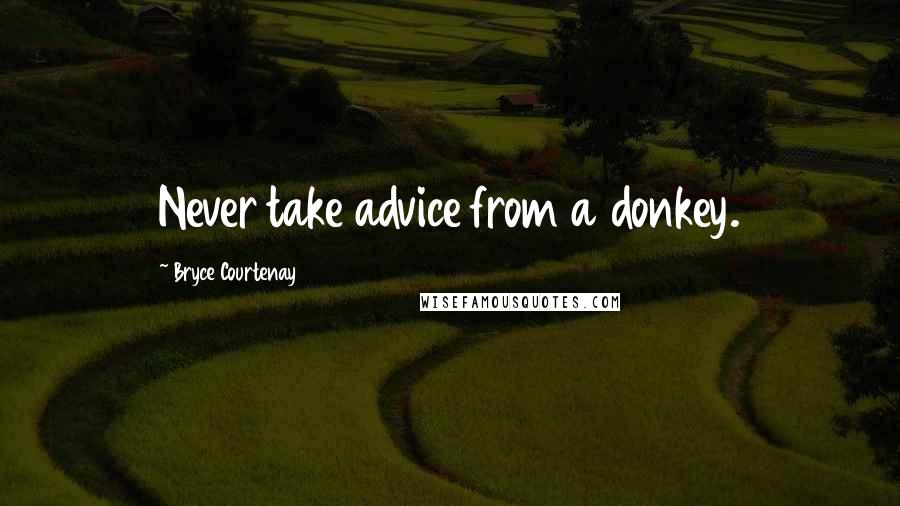 Bryce Courtenay Quotes: Never take advice from a donkey.