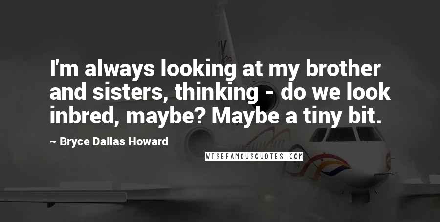 Bryce Dallas Howard Quotes: I'm always looking at my brother and sisters, thinking - do we look inbred, maybe? Maybe a tiny bit.