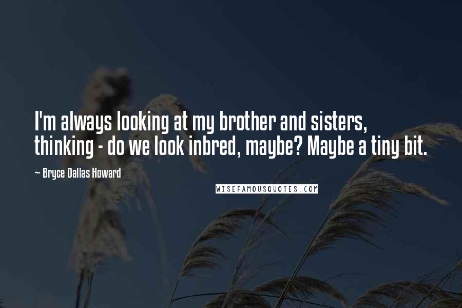 Bryce Dallas Howard Quotes: I'm always looking at my brother and sisters, thinking - do we look inbred, maybe? Maybe a tiny bit.