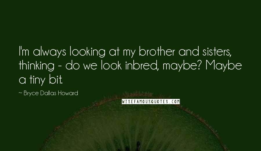 Bryce Dallas Howard Quotes: I'm always looking at my brother and sisters, thinking - do we look inbred, maybe? Maybe a tiny bit.