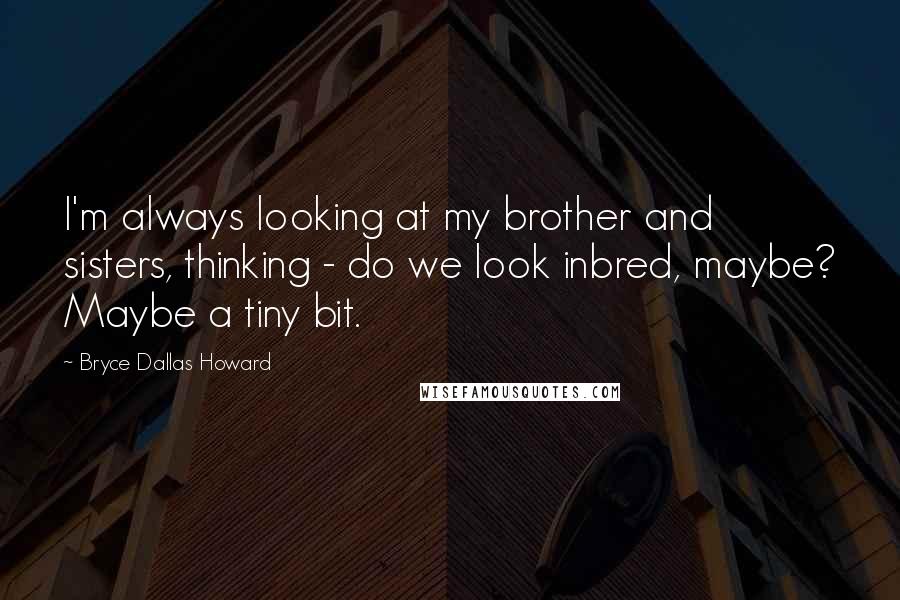 Bryce Dallas Howard Quotes: I'm always looking at my brother and sisters, thinking - do we look inbred, maybe? Maybe a tiny bit.