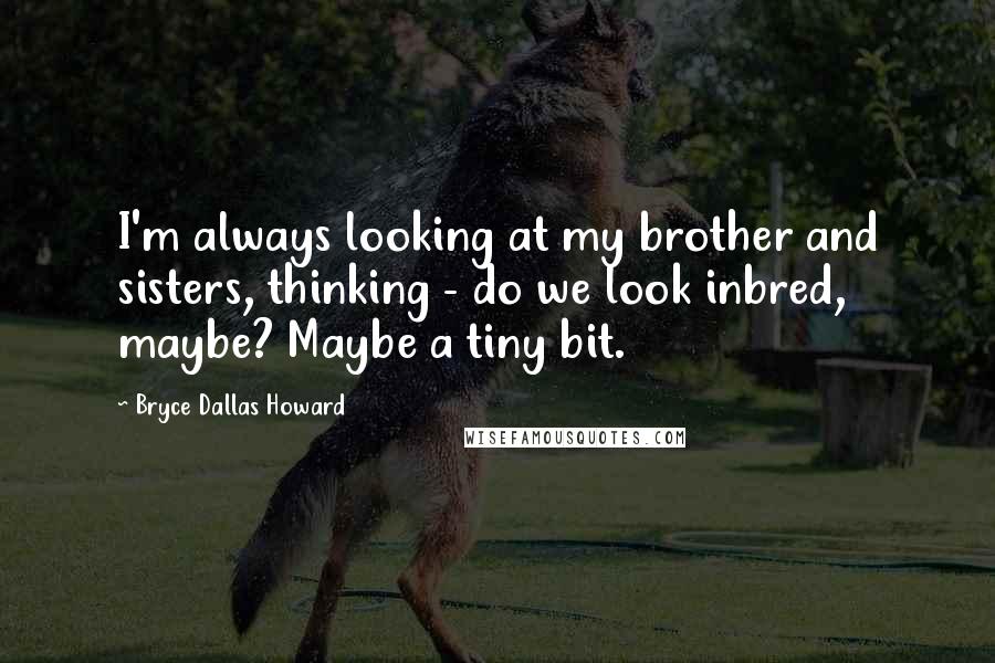 Bryce Dallas Howard Quotes: I'm always looking at my brother and sisters, thinking - do we look inbred, maybe? Maybe a tiny bit.
