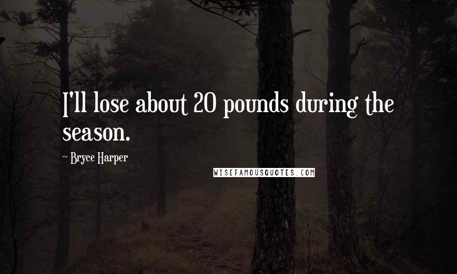 Bryce Harper Quotes: I'll lose about 20 pounds during the season.