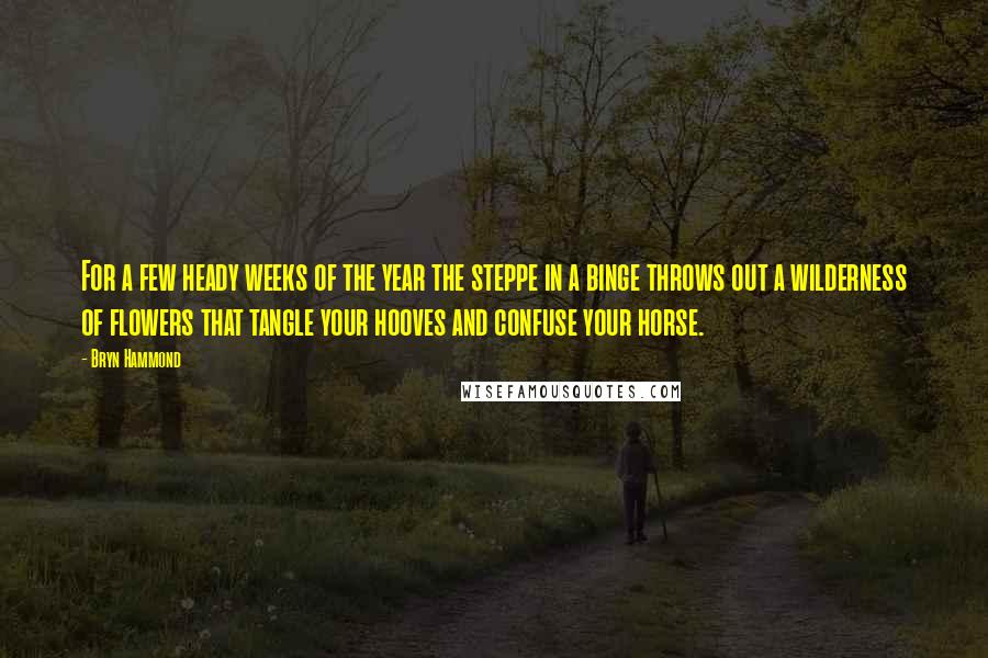 Bryn Hammond Quotes: For a few heady weeks of the year the steppe in a binge throws out a wilderness of flowers that tangle your hooves and confuse your horse.