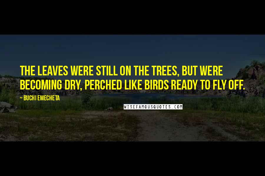 Buchi Emecheta Quotes: The leaves were still on the trees, but were becoming dry, perched like birds ready to fly off.