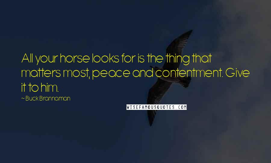 Buck Brannaman Quotes: All your horse looks for is the thing that matters most, peace and contentment. Give it to him.
