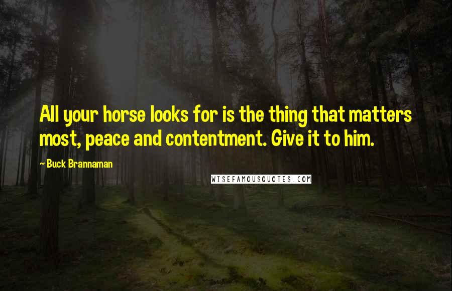Buck Brannaman Quotes: All your horse looks for is the thing that matters most, peace and contentment. Give it to him.