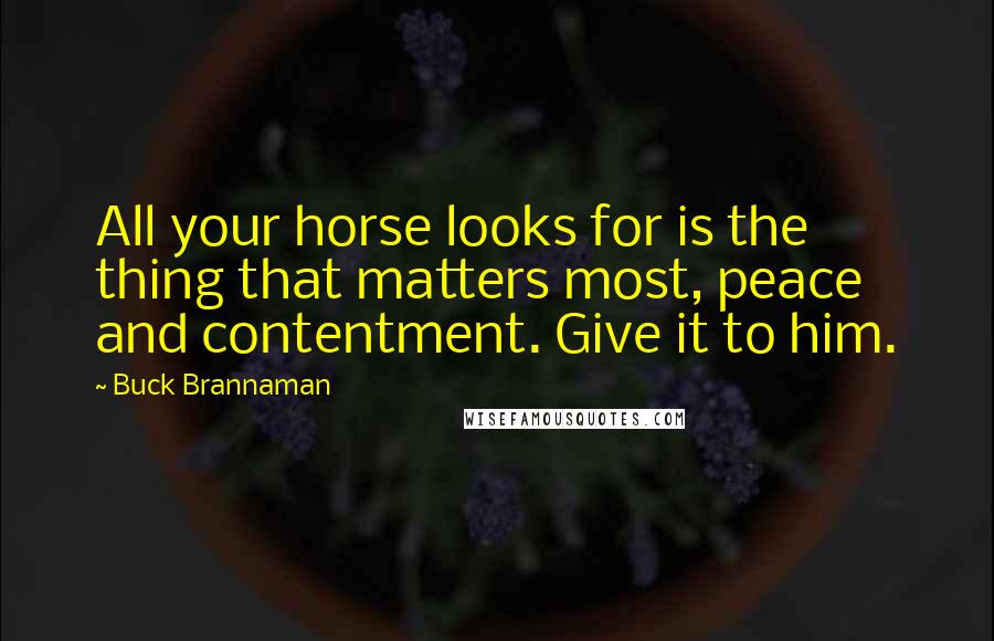 Buck Brannaman Quotes: All your horse looks for is the thing that matters most, peace and contentment. Give it to him.