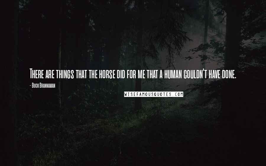 Buck Brannaman Quotes: There are things that the horse did for me that a human couldn't have done.