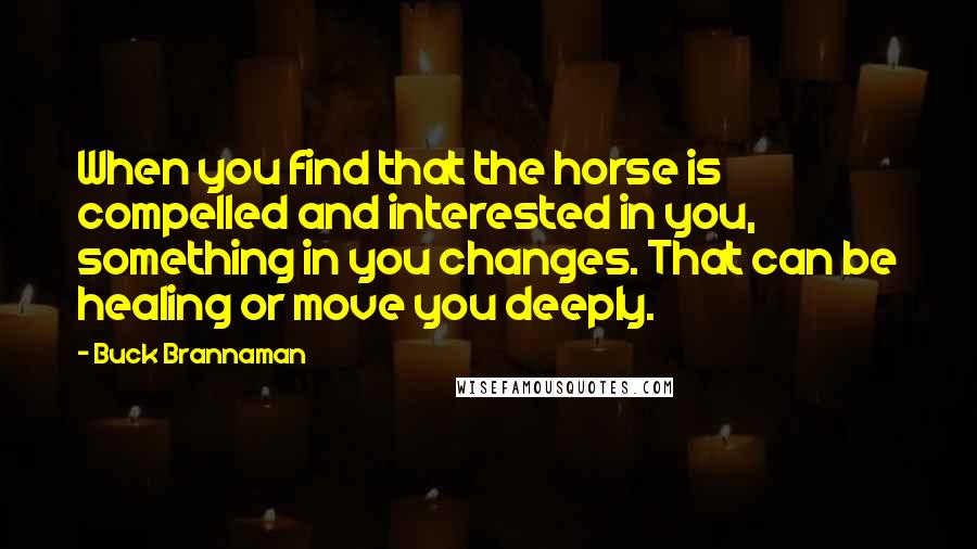 Buck Brannaman Quotes: When you find that the horse is compelled and interested in you, something in you changes. That can be healing or move you deeply.