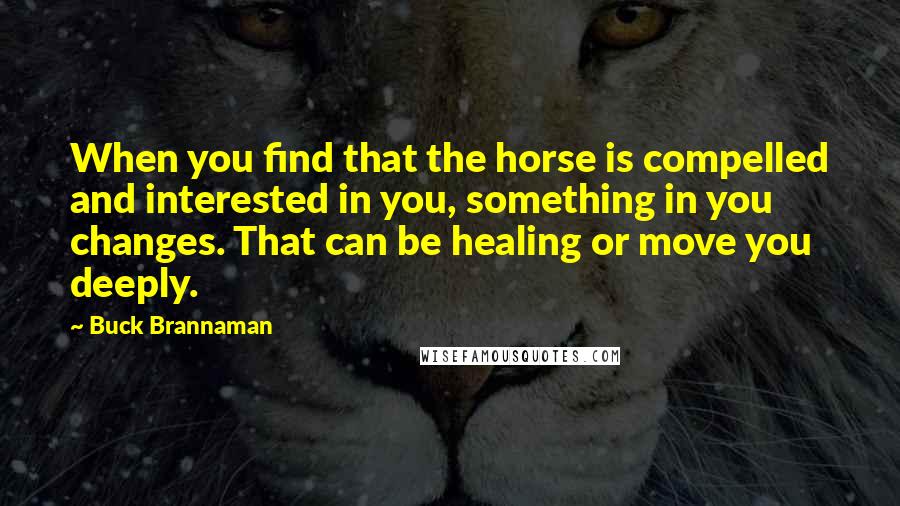 Buck Brannaman Quotes: When you find that the horse is compelled and interested in you, something in you changes. That can be healing or move you deeply.