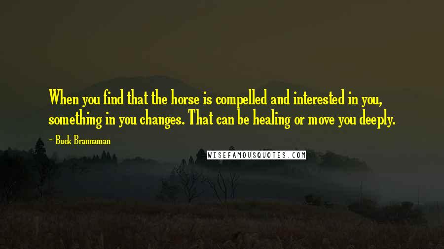 Buck Brannaman Quotes: When you find that the horse is compelled and interested in you, something in you changes. That can be healing or move you deeply.