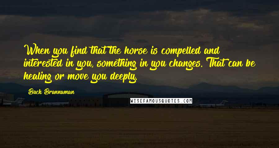 Buck Brannaman Quotes: When you find that the horse is compelled and interested in you, something in you changes. That can be healing or move you deeply.