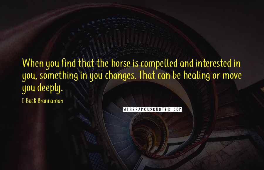 Buck Brannaman Quotes: When you find that the horse is compelled and interested in you, something in you changes. That can be healing or move you deeply.