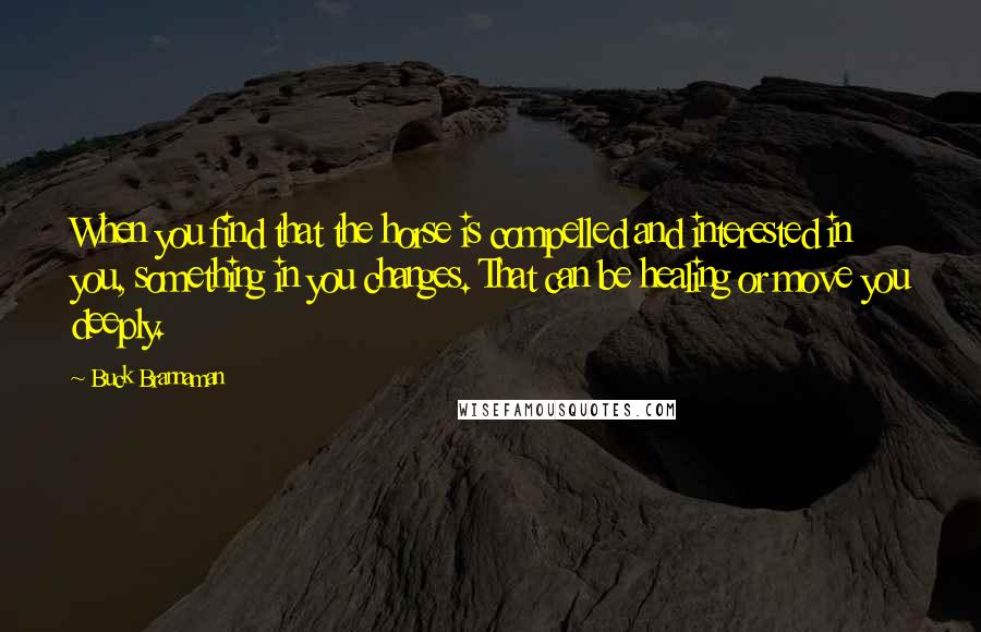 Buck Brannaman Quotes: When you find that the horse is compelled and interested in you, something in you changes. That can be healing or move you deeply.