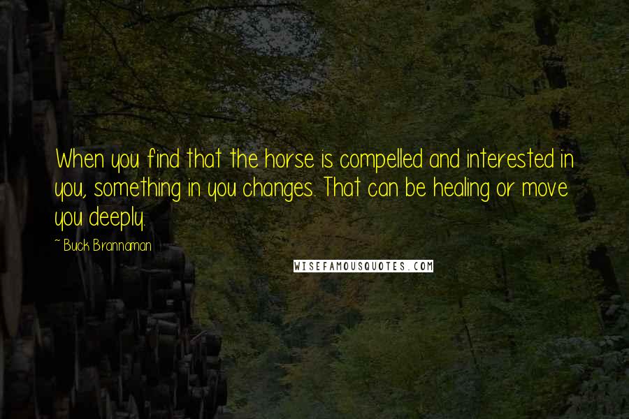 Buck Brannaman Quotes: When you find that the horse is compelled and interested in you, something in you changes. That can be healing or move you deeply.