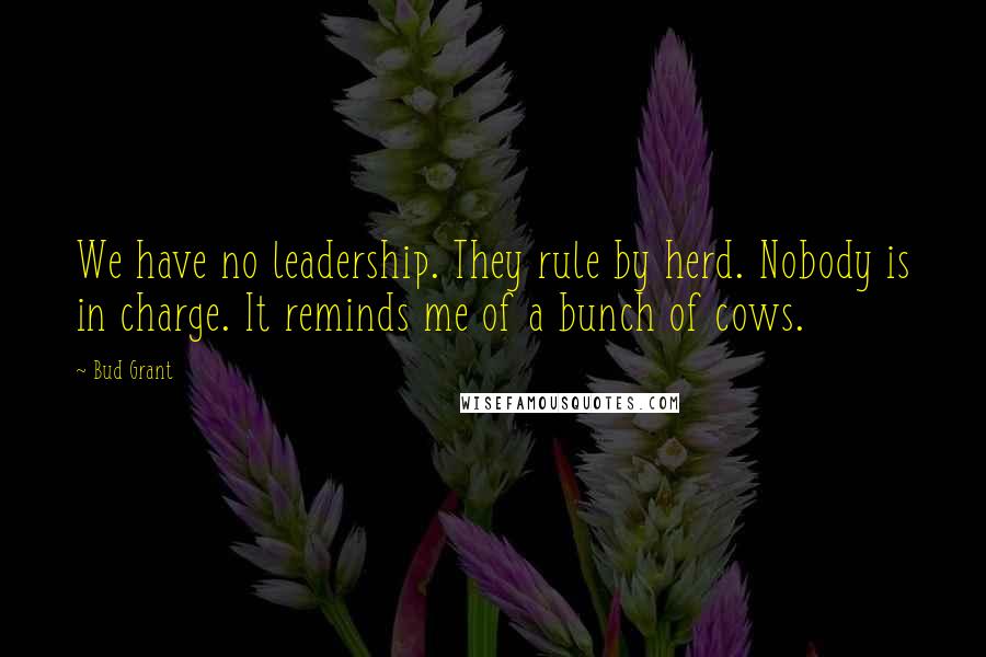 Bud Grant Quotes: We have no leadership. They rule by herd. Nobody is in charge. It reminds me of a bunch of cows.
