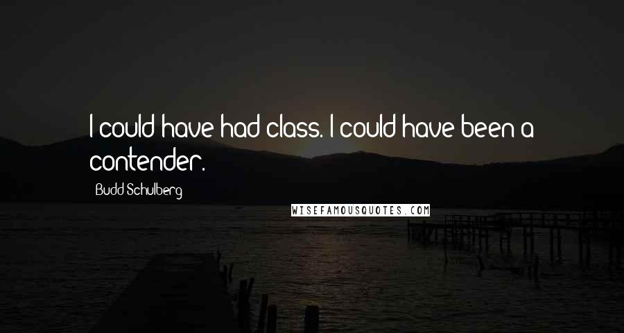 Budd Schulberg Quotes: I could have had class. I could have been a contender.