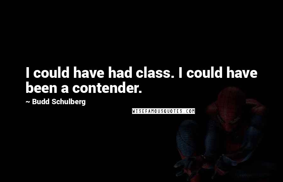 Budd Schulberg Quotes: I could have had class. I could have been a contender.