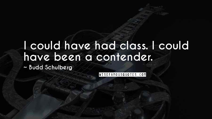 Budd Schulberg Quotes: I could have had class. I could have been a contender.