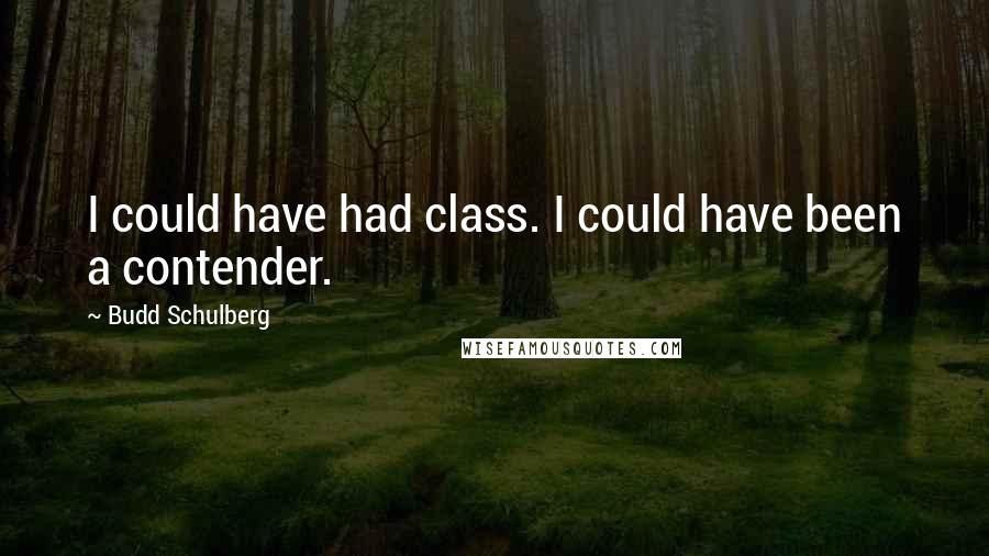 Budd Schulberg Quotes: I could have had class. I could have been a contender.