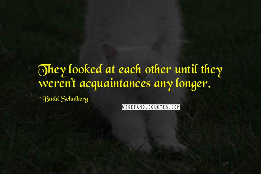 Budd Schulberg Quotes: They looked at each other until they weren't acquaintances any longer.