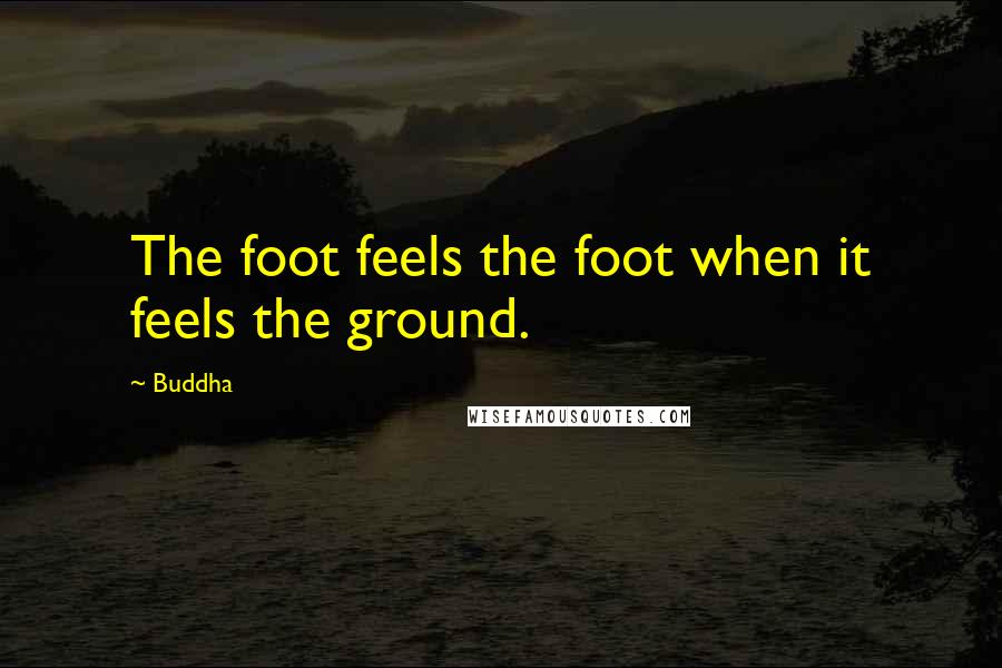 Buddha Quotes: The foot feels the foot when it feels the ground.