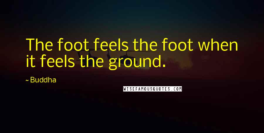 Buddha Quotes: The foot feels the foot when it feels the ground.