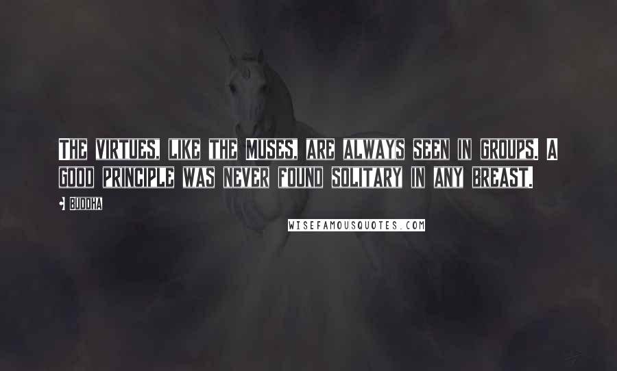 Buddha Quotes: The virtues, like the Muses, are always seen in groups. A good principle was never found solitary in any breast.