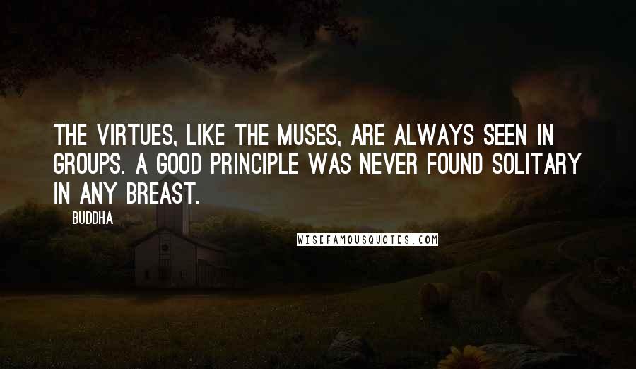 Buddha Quotes: The virtues, like the Muses, are always seen in groups. A good principle was never found solitary in any breast.