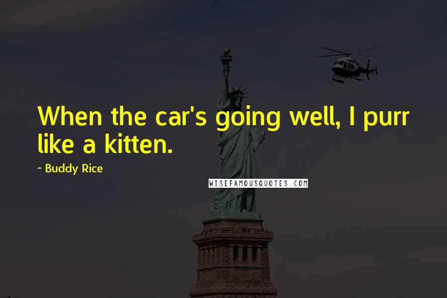 Buddy Rice Quotes: When the car's going well, I purr like a kitten.