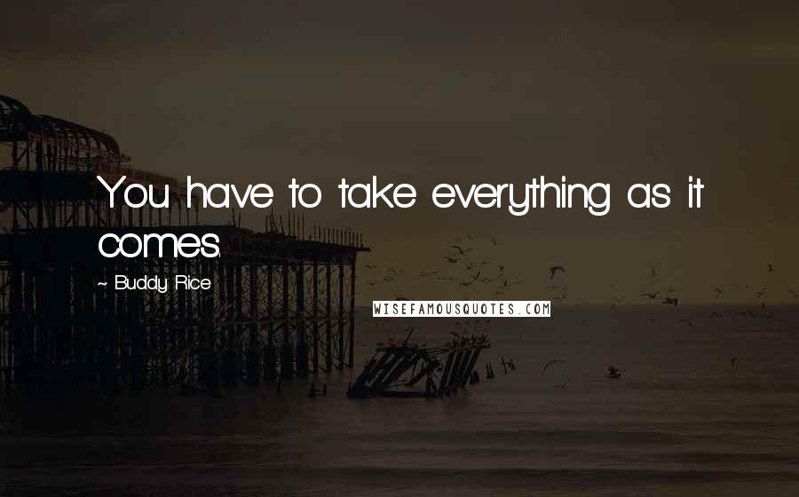 Buddy Rice Quotes: You have to take everything as it comes.