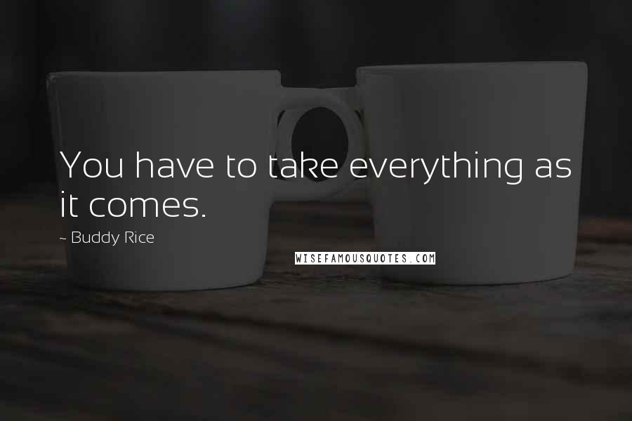 Buddy Rice Quotes: You have to take everything as it comes.
