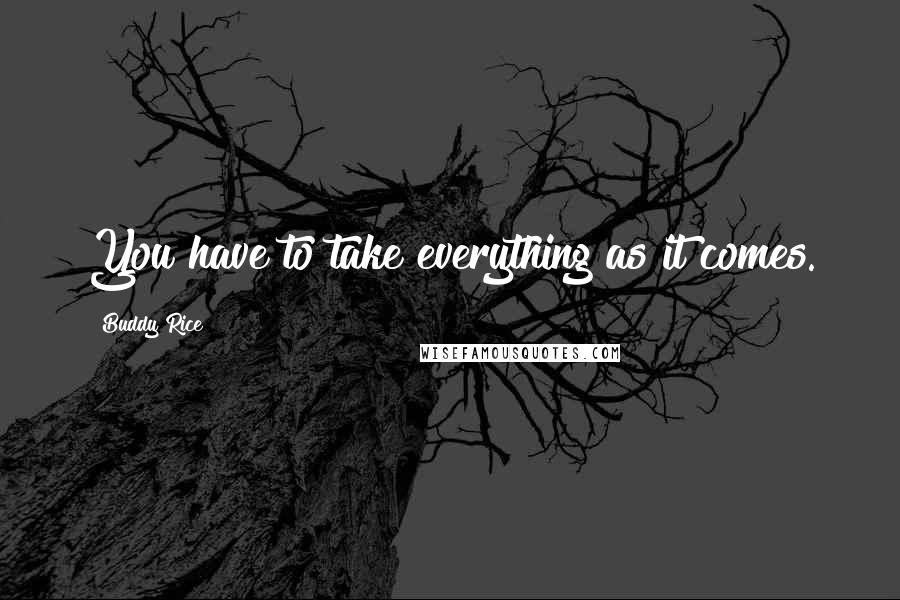 Buddy Rice Quotes: You have to take everything as it comes.
