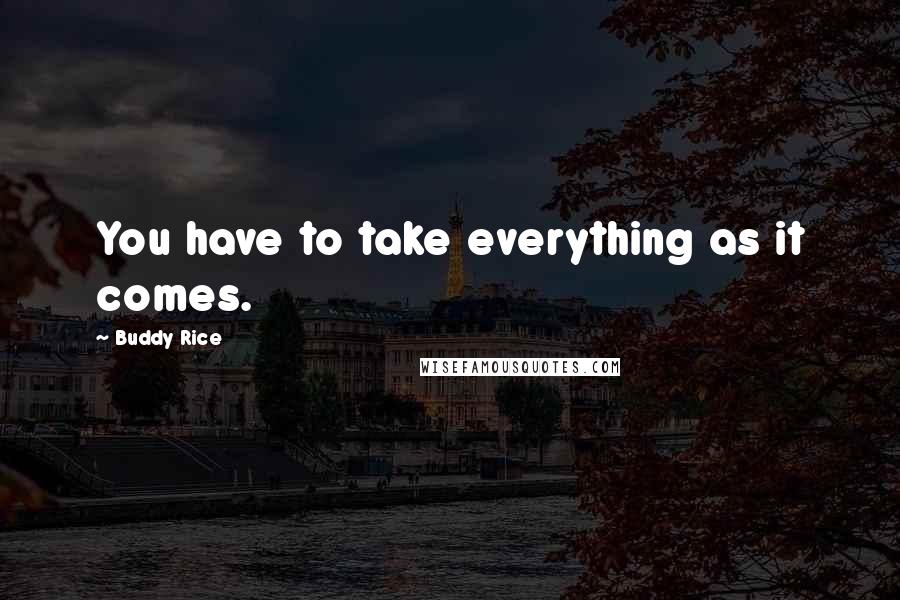 Buddy Rice Quotes: You have to take everything as it comes.